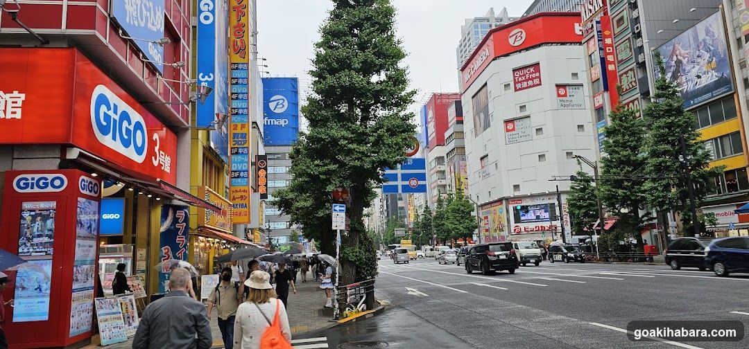Rakuten Mobile Akihabara