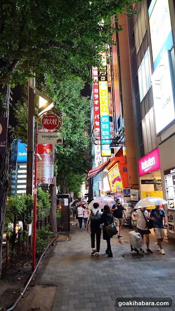 Rakuten Mobile Akihabara