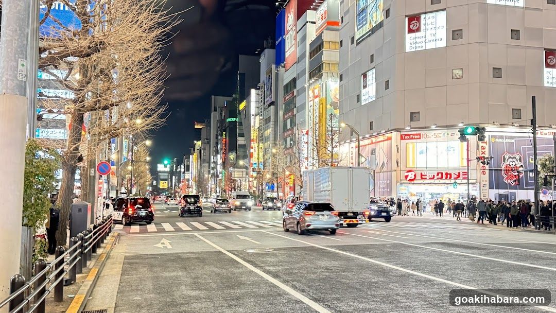 Rakuten Mobile Akihabara