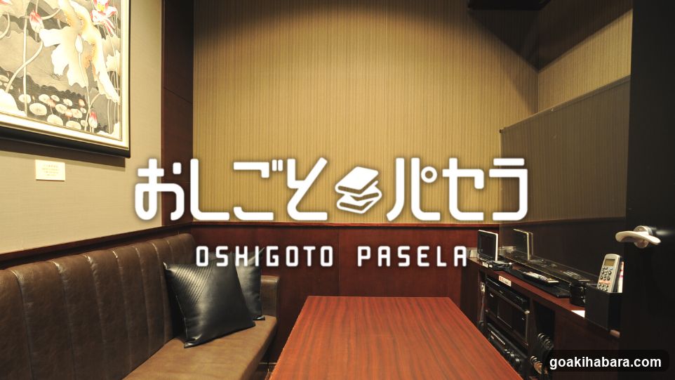 Oshigoto Pasela AKIBA Multi Entertainment