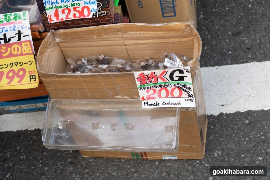 Akibaoo 0