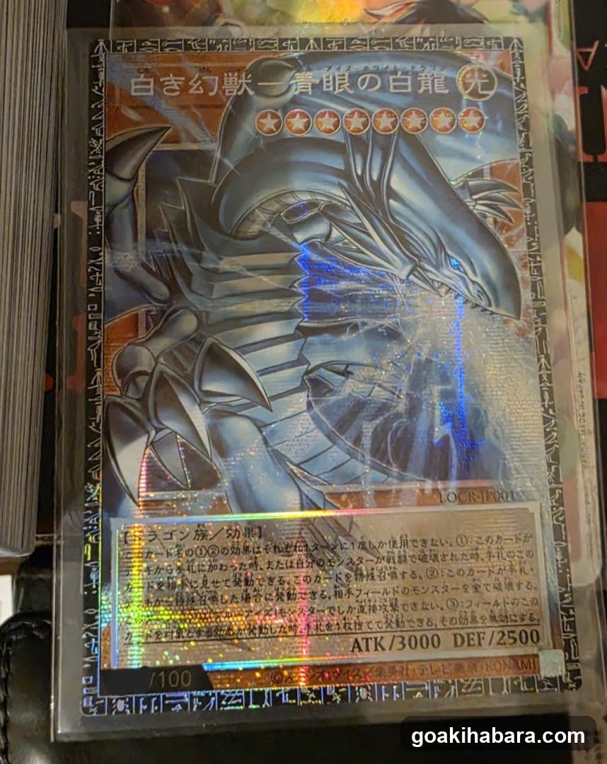 Trading Card Shop YK 秋葉原2号店