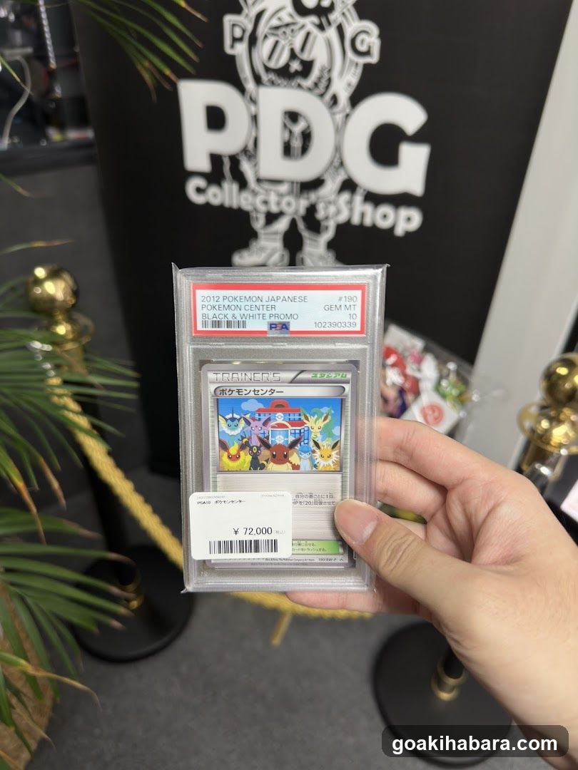 PDG collector's shop 秋葉原本店