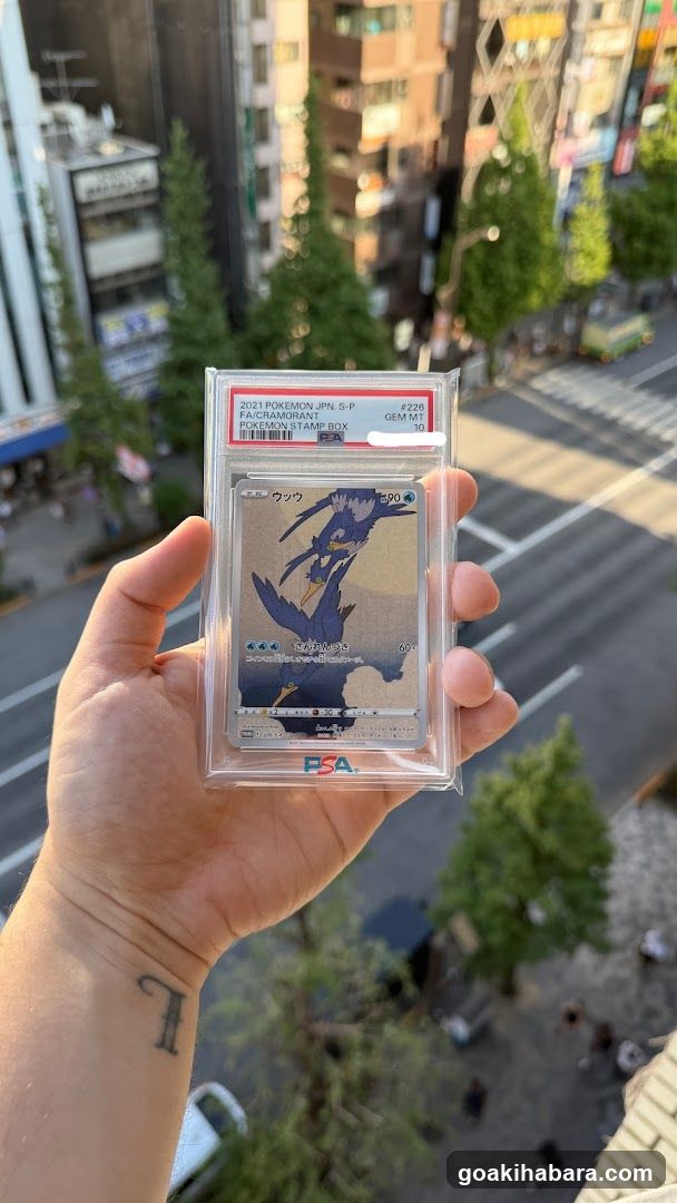 PDG collector's shop 秋葉原本店