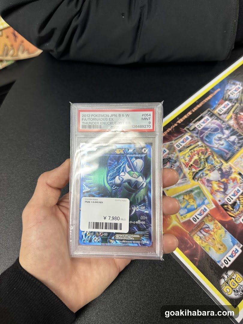 PDG collector's shop 秋葉原本店
