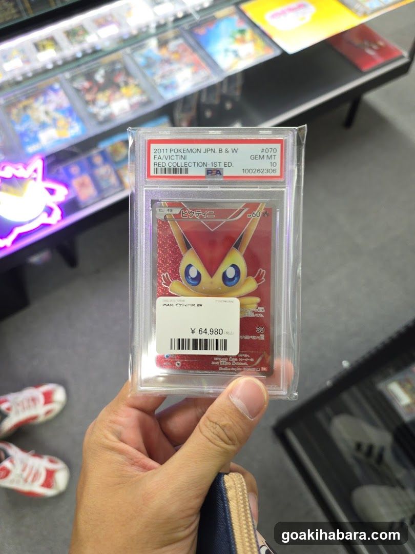 PDG collector's shop 秋葉原本店