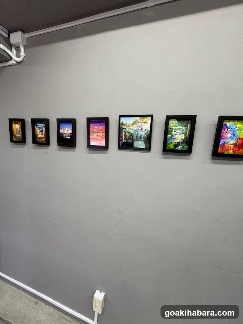 PDG collector's shop 秋葉原本店