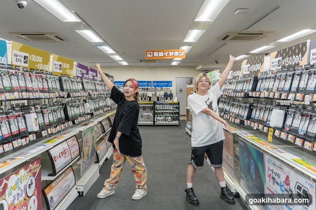 e-Earphones