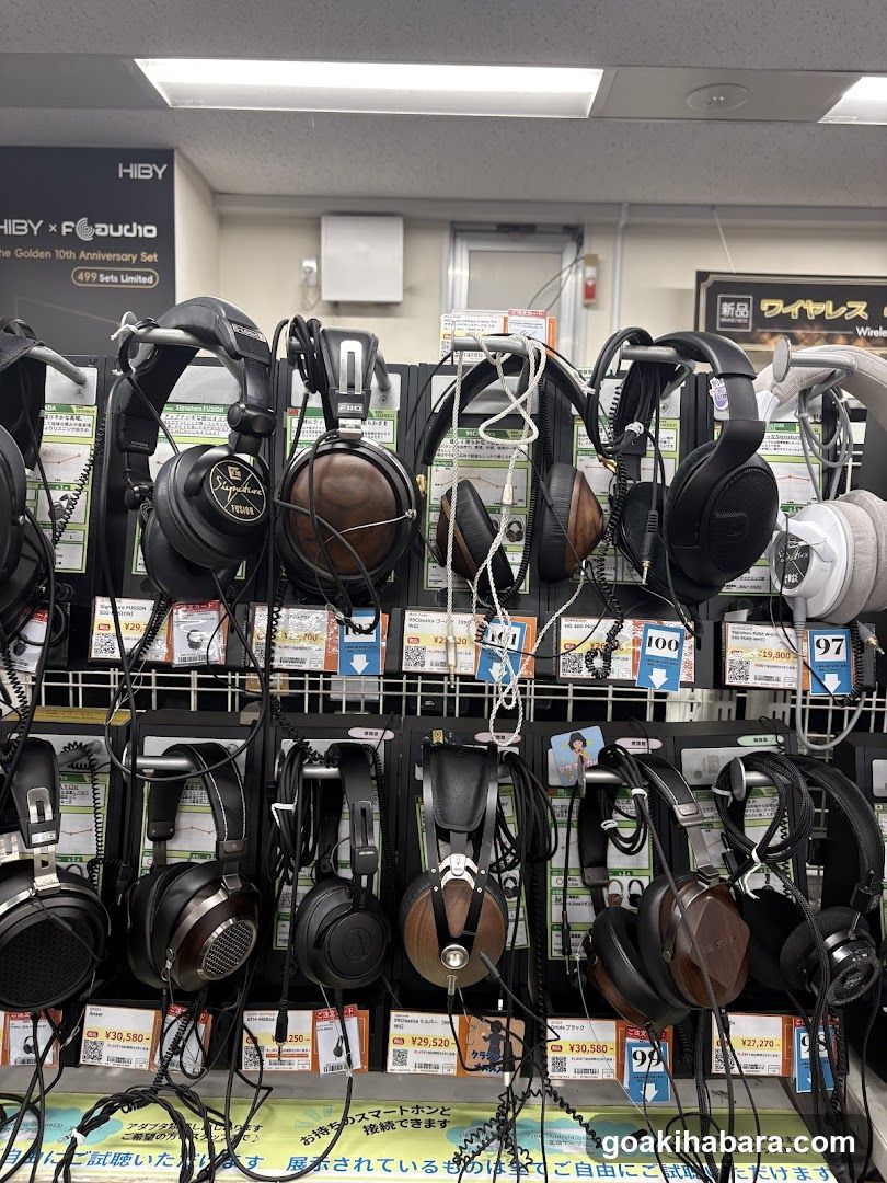 e-Earphones