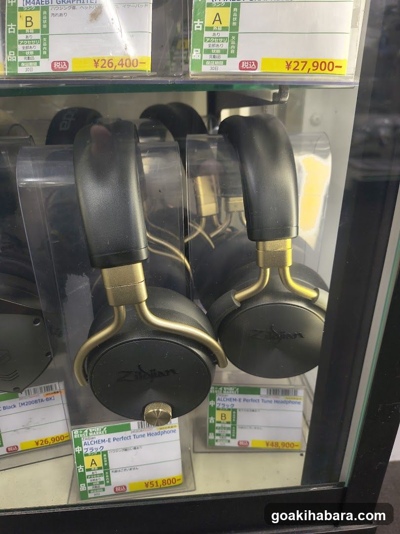 e-Earphones