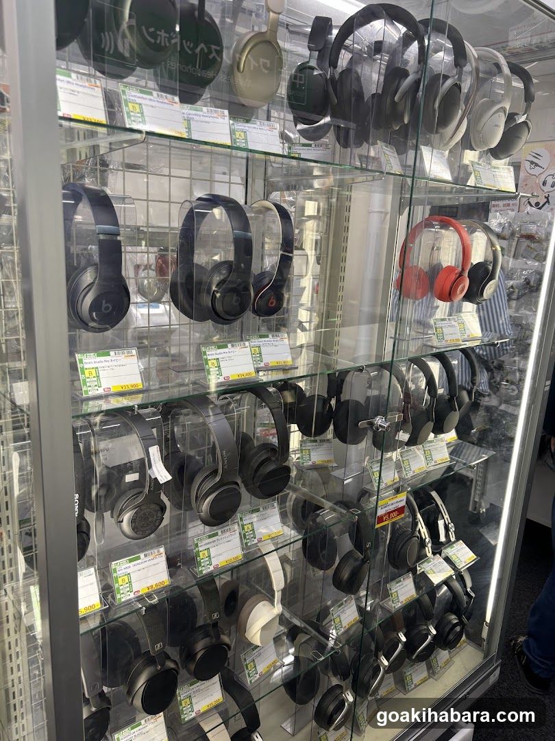 e-Earphones