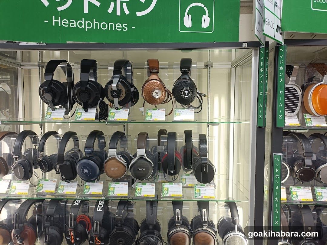 e-Earphones