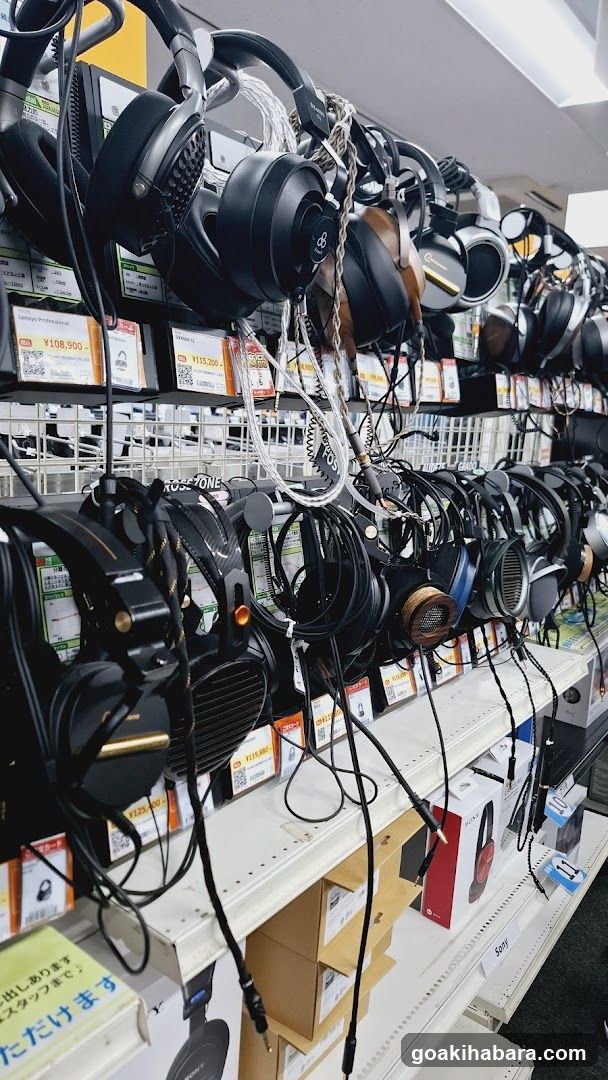 e-Earphones