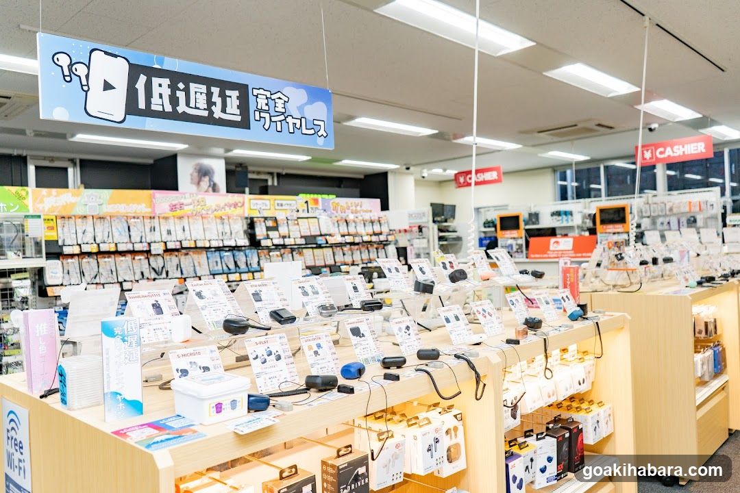 e-Earphones