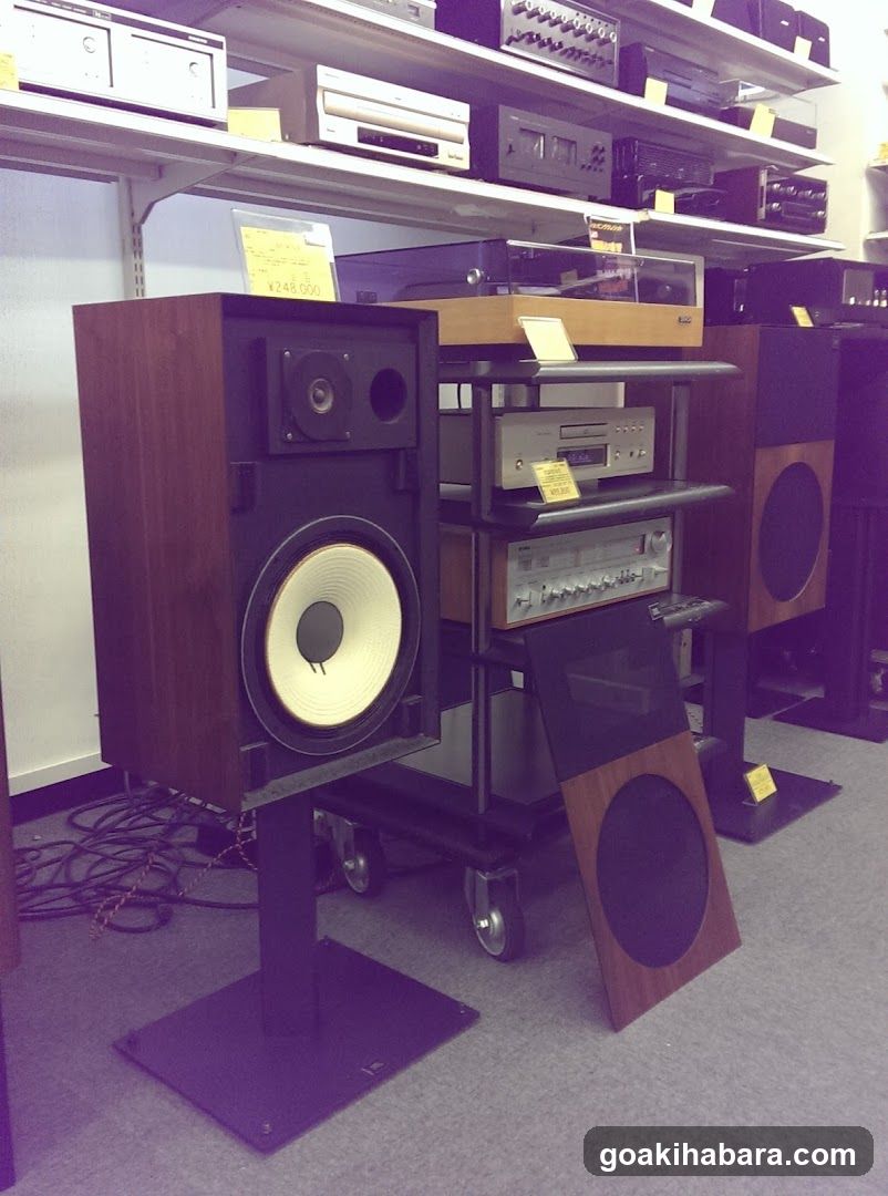 Hi-Fi Dō Akihabara Shop