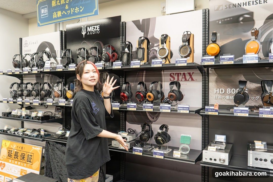 e-Earphones