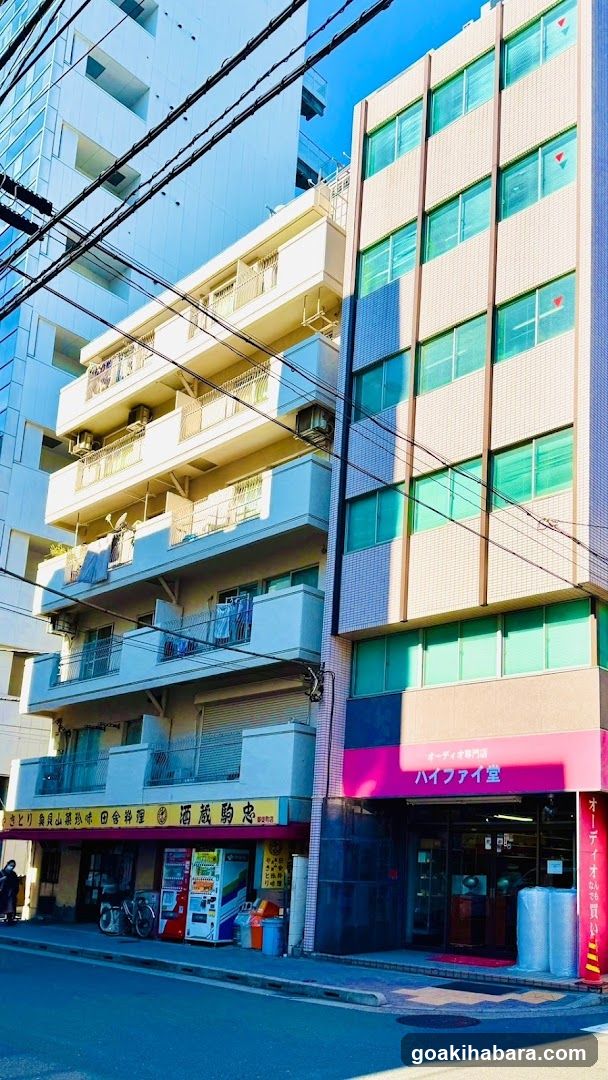 Hi-Fi Dō Akihabara Shop