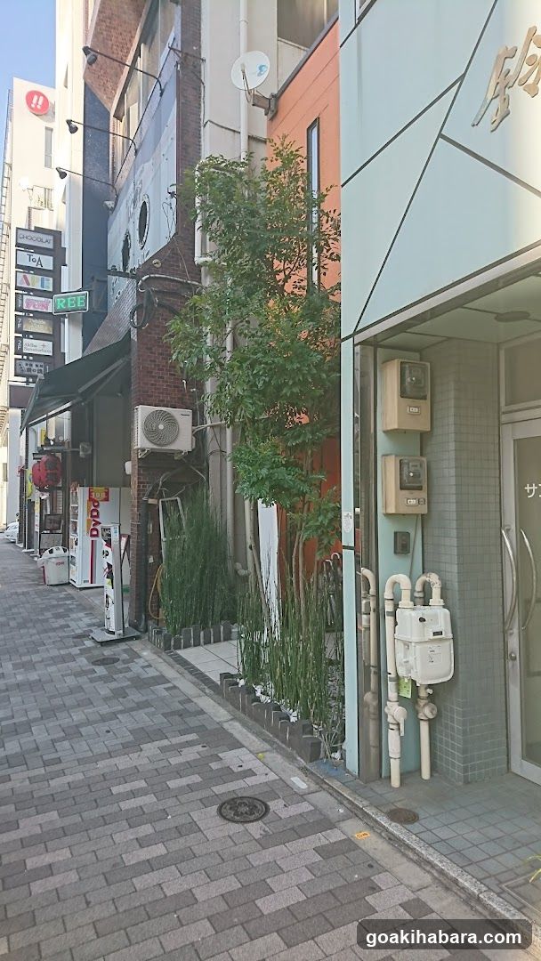 ギャラリー明神下