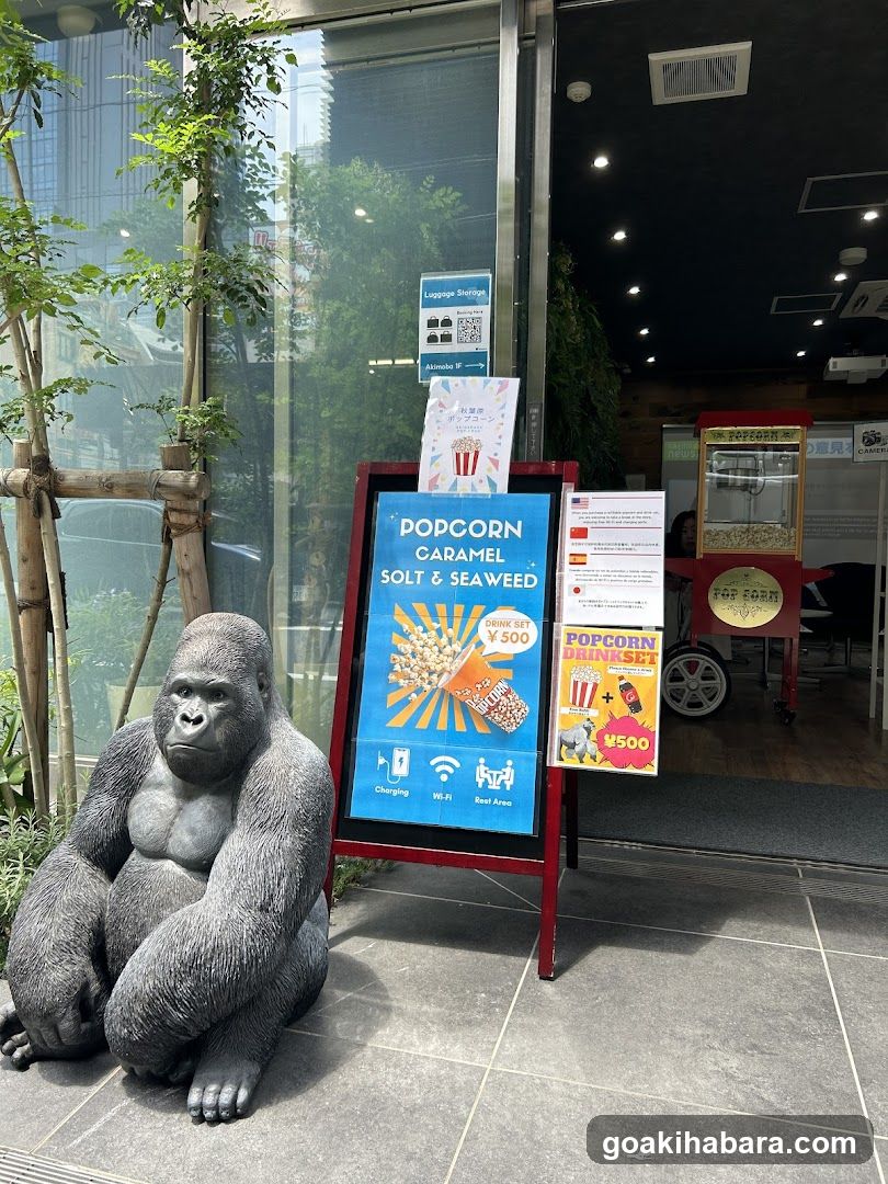 Gorilla Camera
