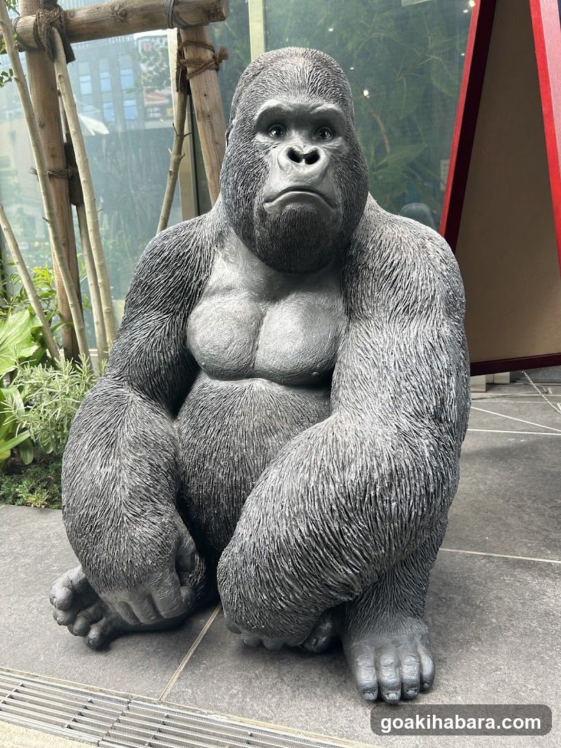 Gorilla Camera