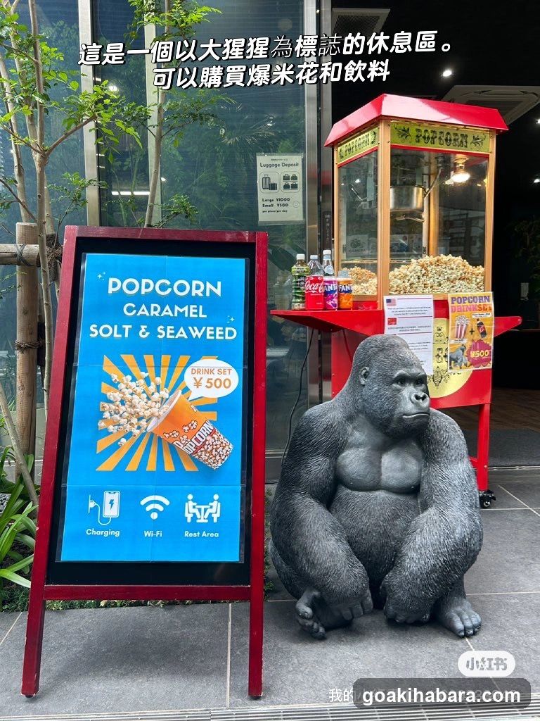 Gorilla Camera