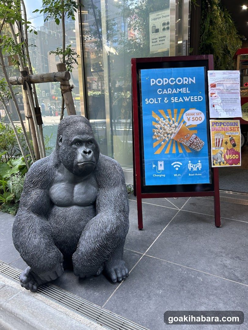 Gorilla Camera