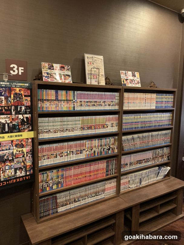 Anshin Oyado Tokyo Akihabara Denkigaiten