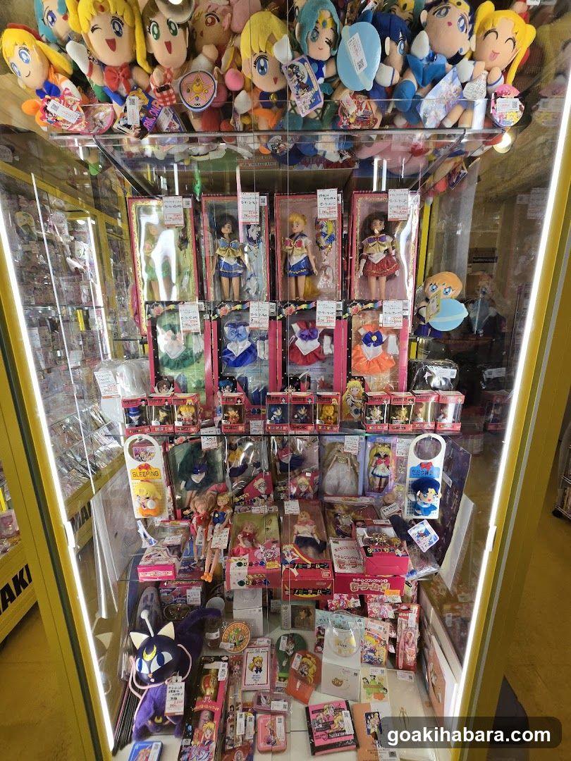 Mandarake Complex