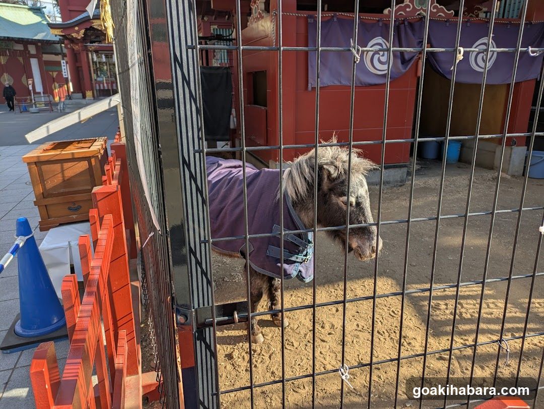 Houren-Mikoshi Stable