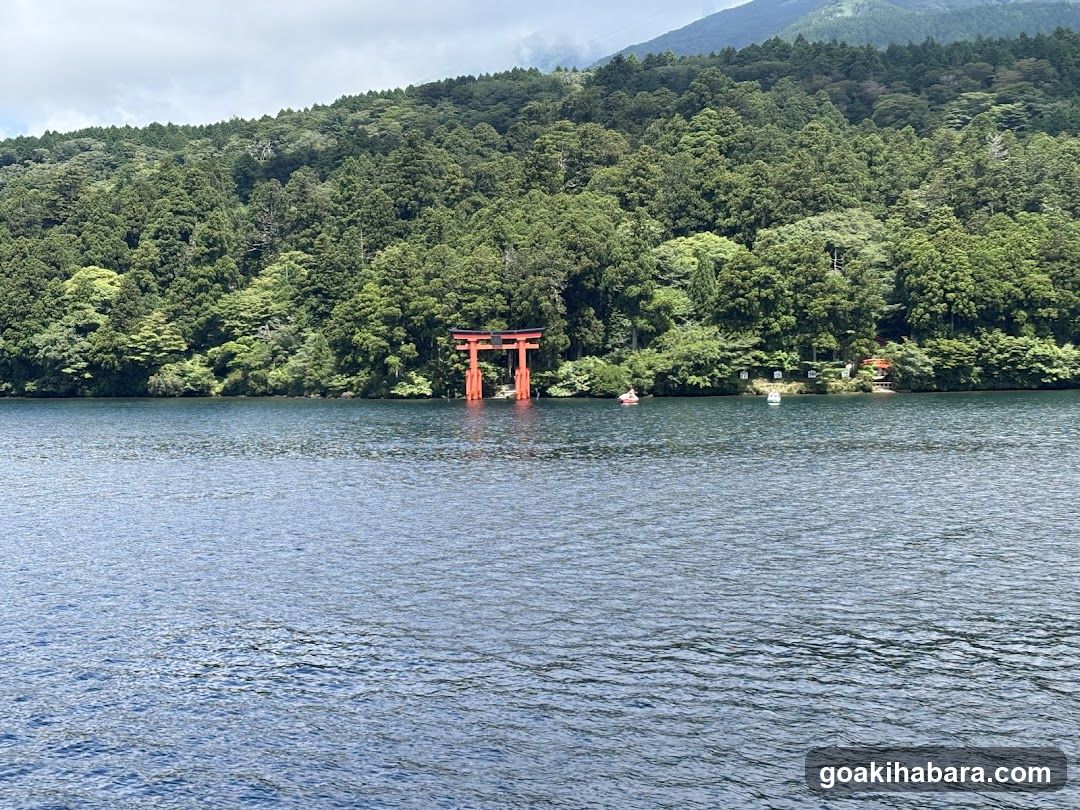 Amigo Tours Tokyo