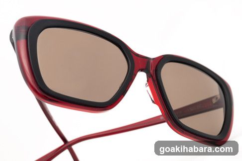 Red Sunglasses Product Shot