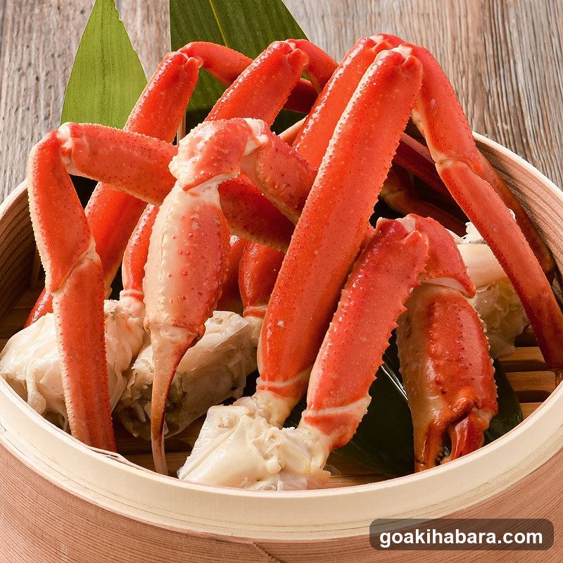 Kitanoajikikotojizake Hokkaido Akihabaradenkigaikitaguchiten