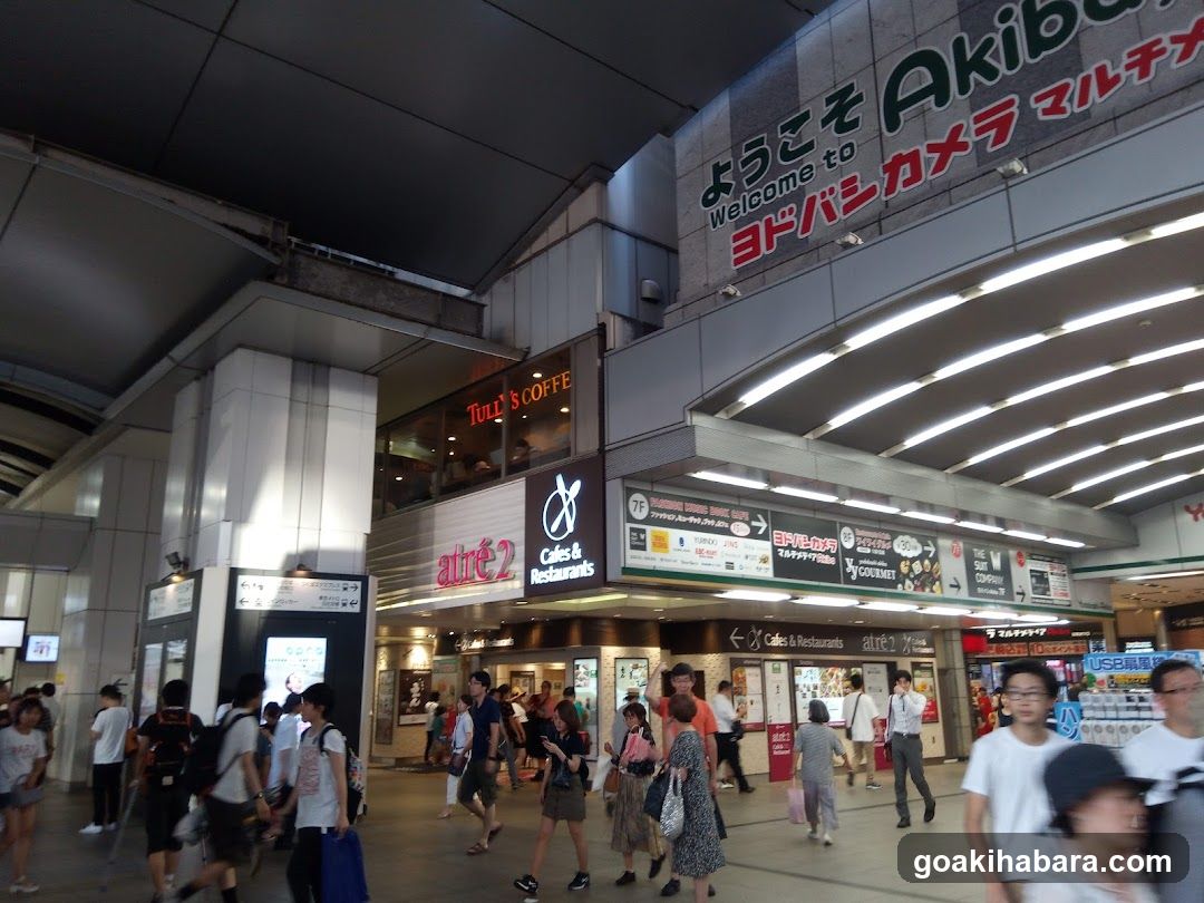 Yodobashi Camera Akiba Entrance