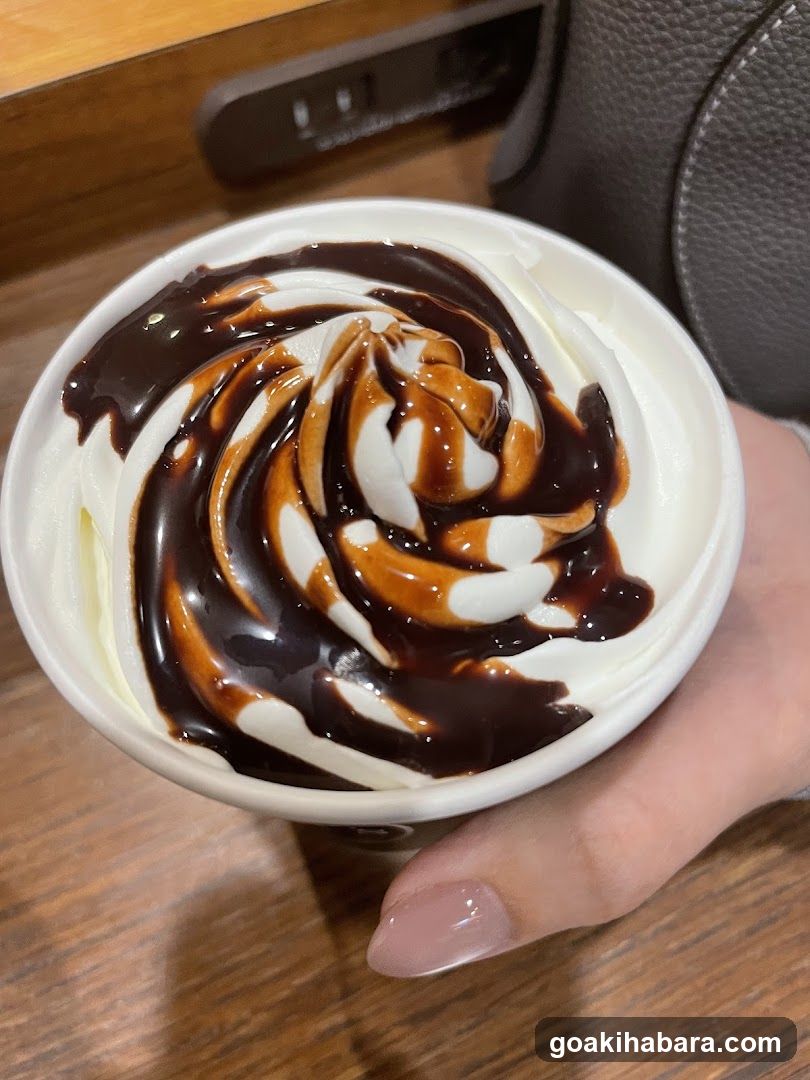 Chocolate Swirl Dessert