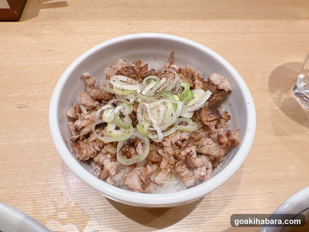 Bowl of Rice with Meat and Scallions