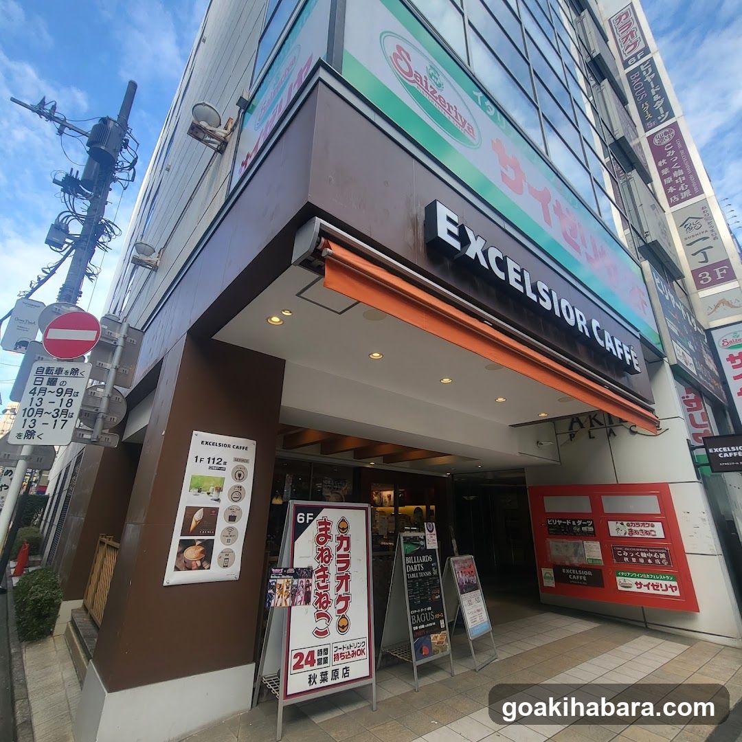 Exterior view of Excelsior Cafe storefront with signage, orange awning, and promotional boards on sidewalk.