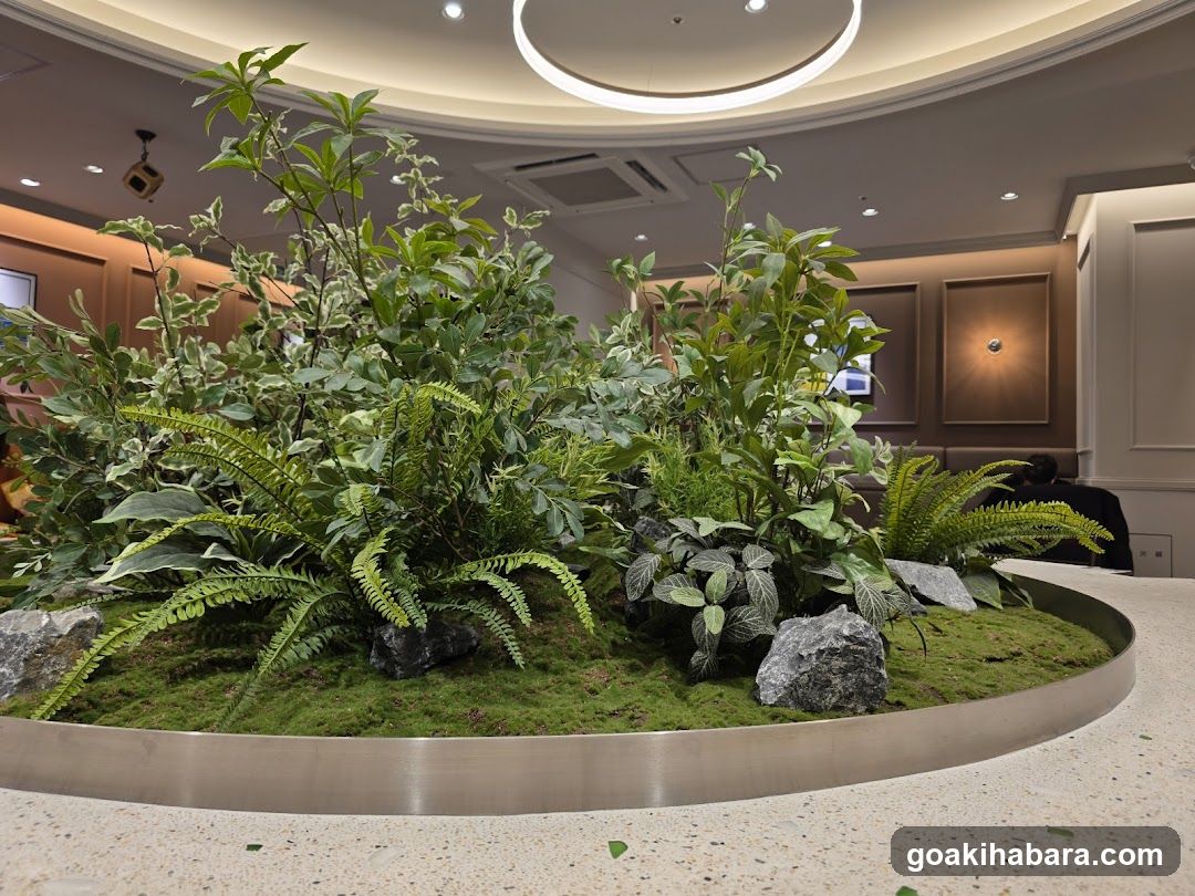 Indoor Plant Display