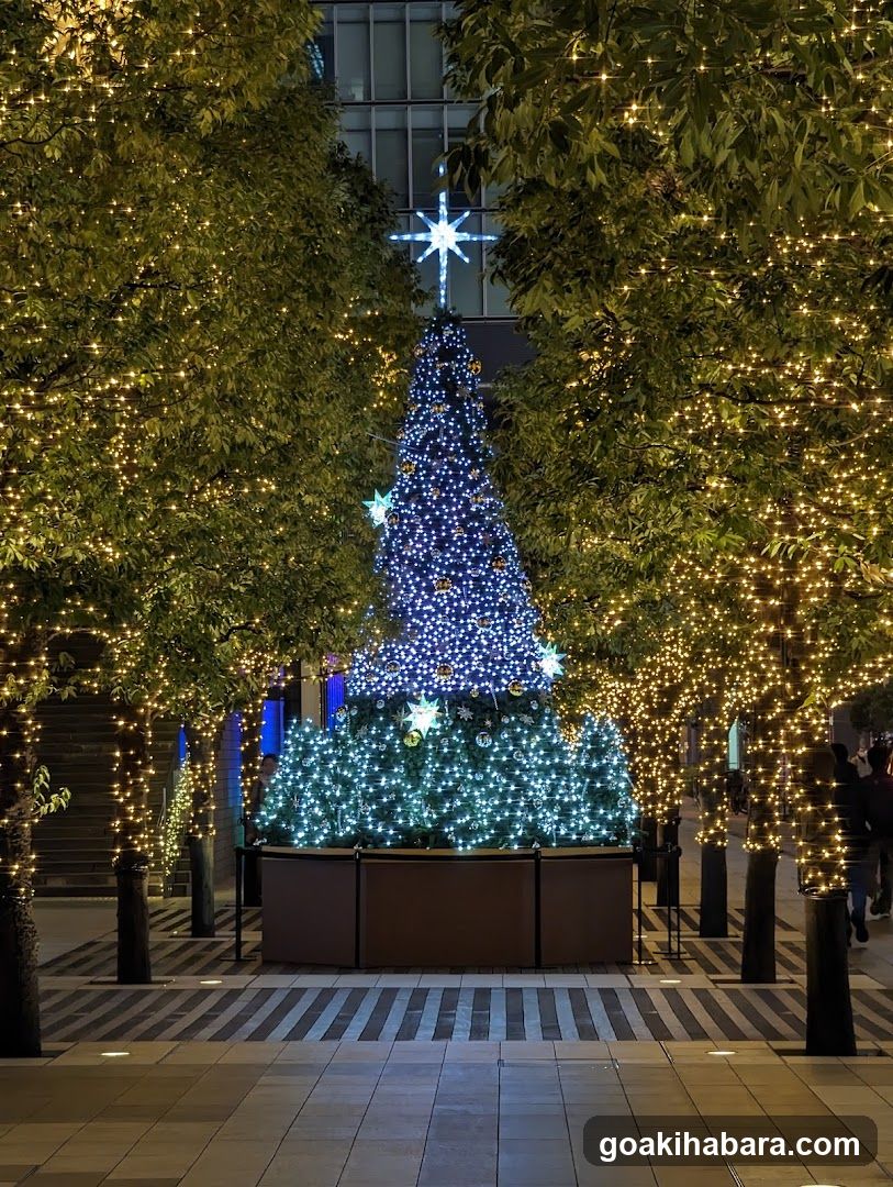 Christmas Tree Display
