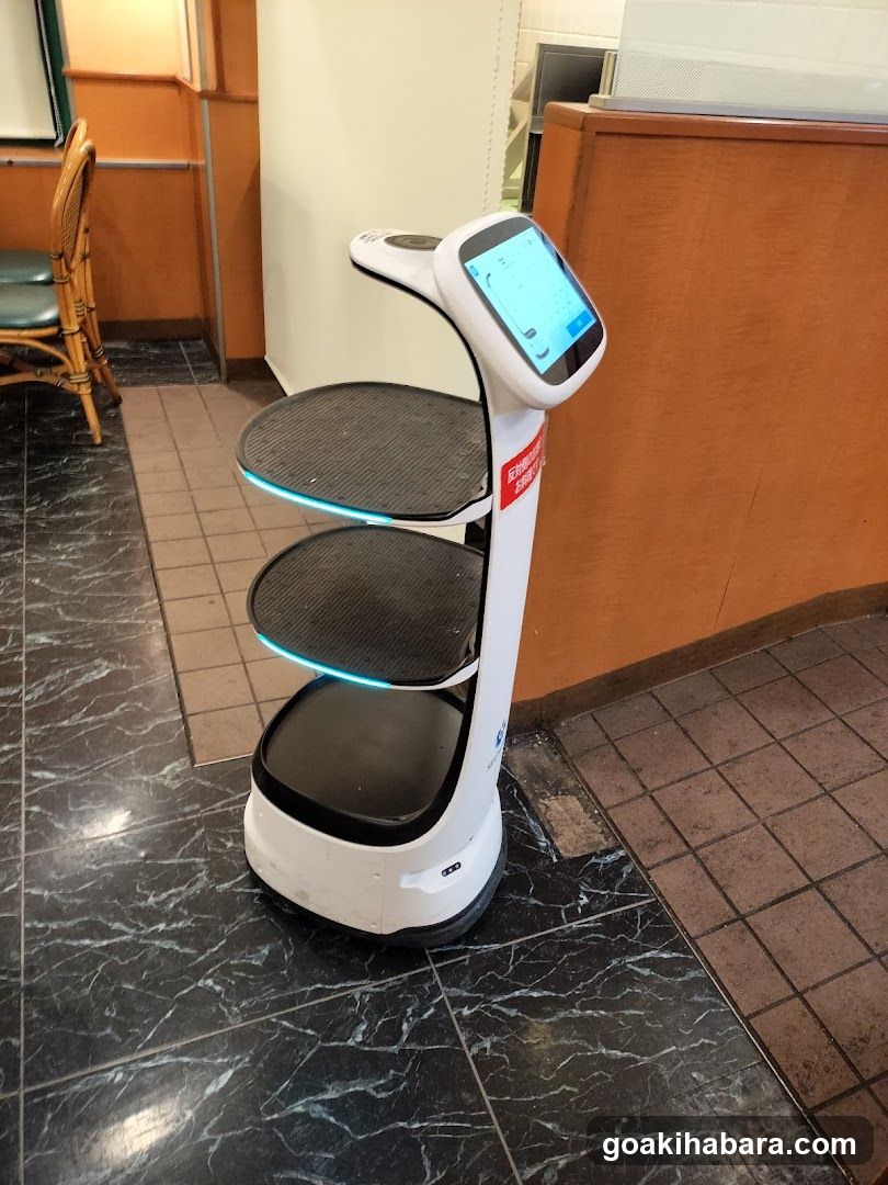 Service Robot in Restaurant Interior