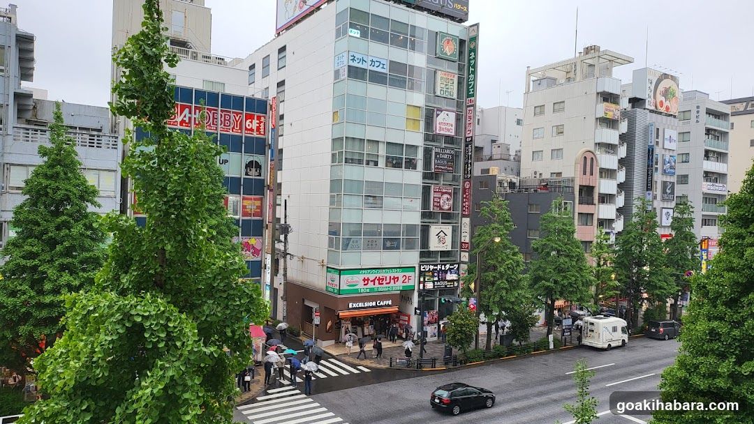 Urban Street Scene with Shops and Trees