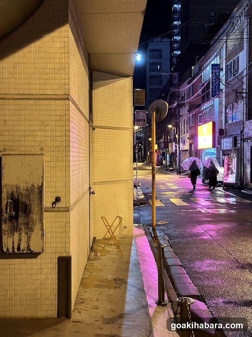 Night street scene with pedestrians under umbrellas