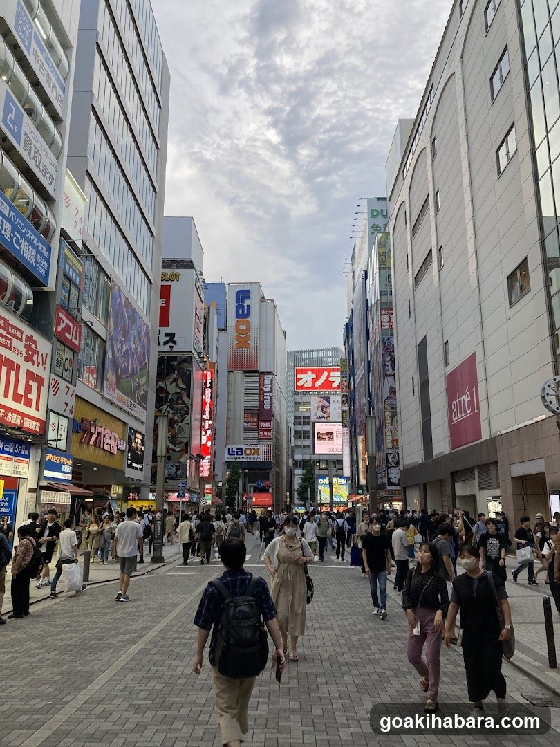 Busy Urban Street Scene
