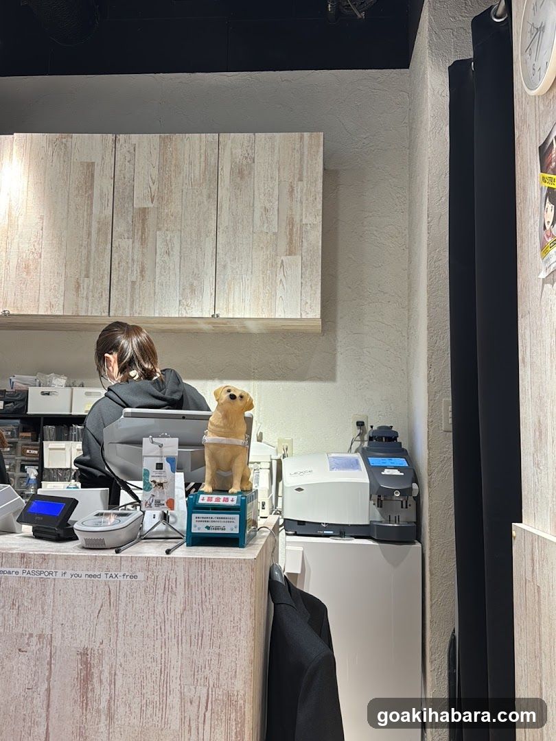 Interior of a store with staff and equipment