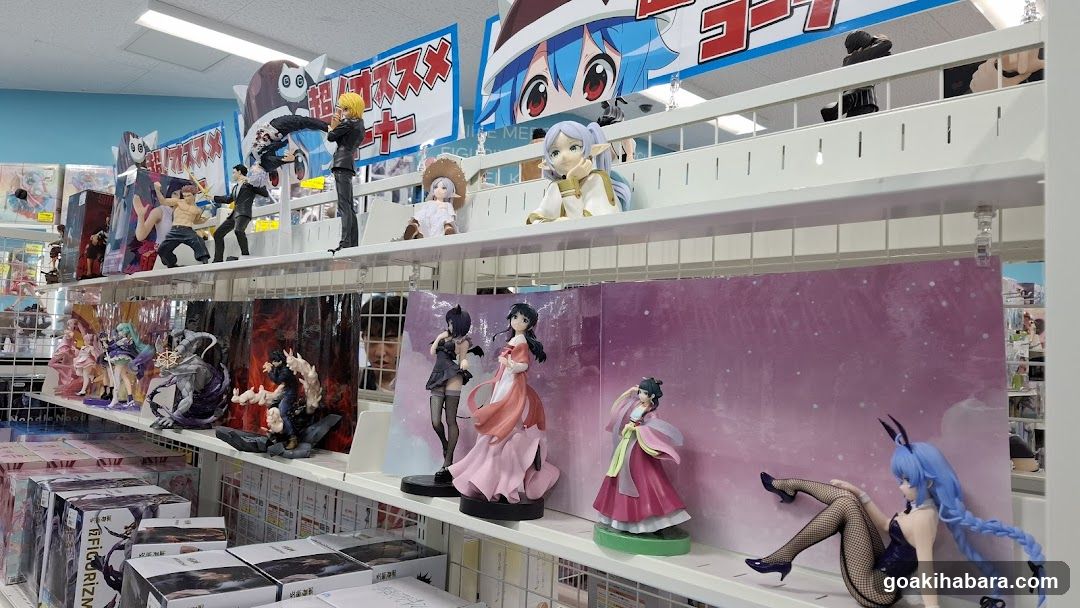 Anime Figure Display Shelf