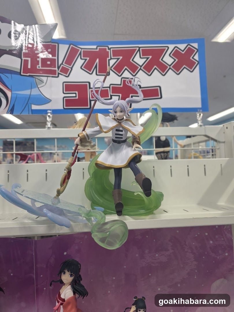 Anime Figure Display