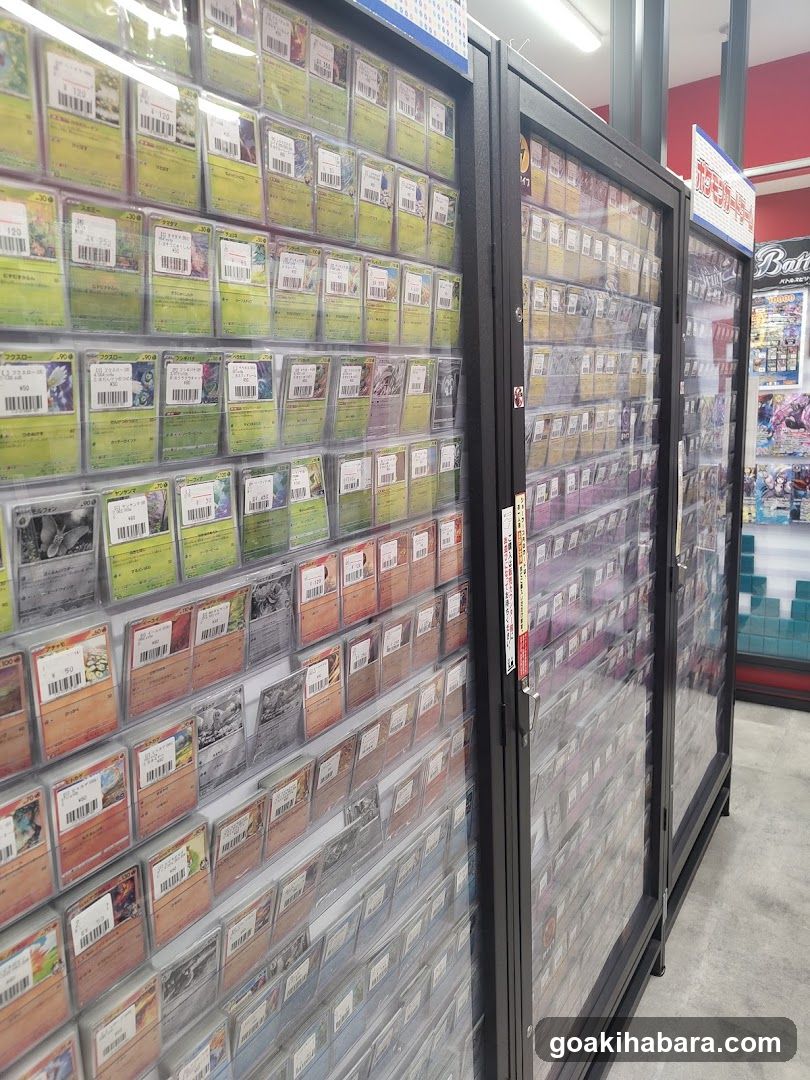 Pokemon Card Display Case