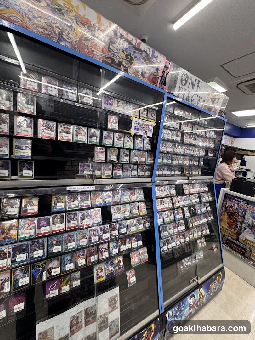 Card Game Store Interior