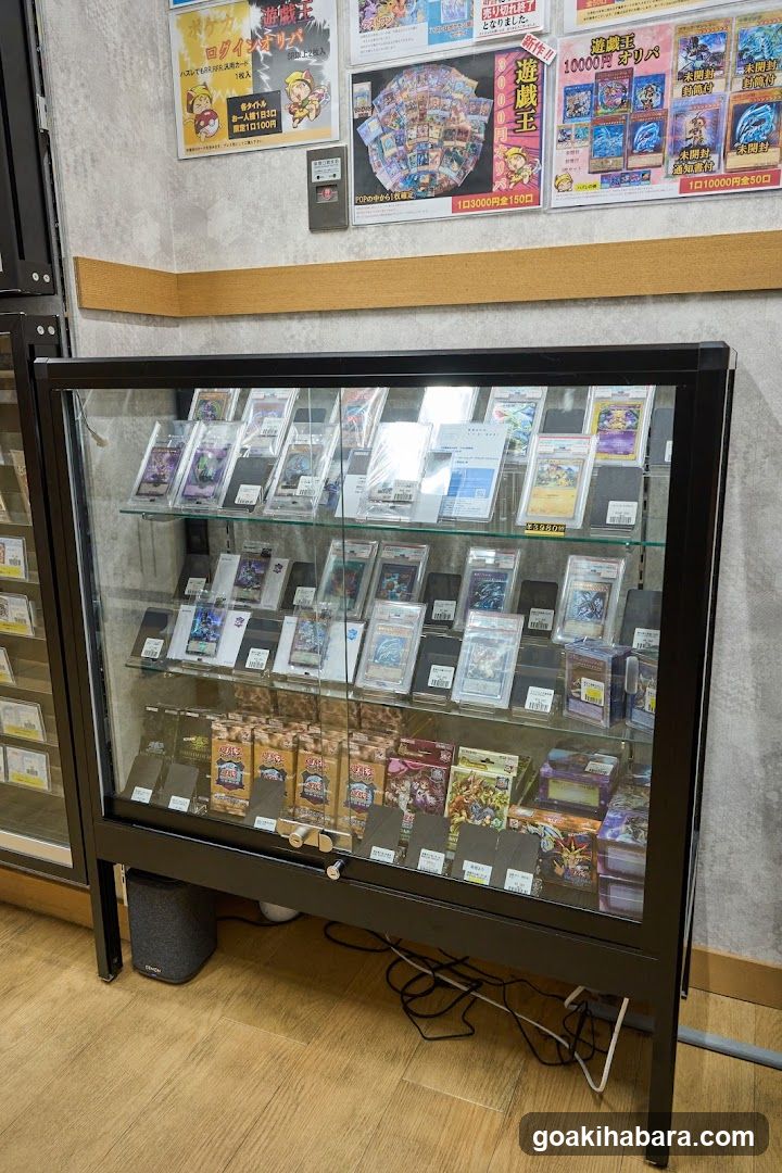 Card Game Display Case