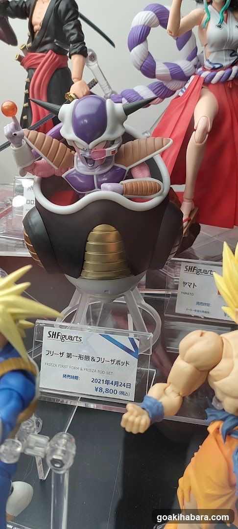 Dragon Ball Z SH Figuarts Display
