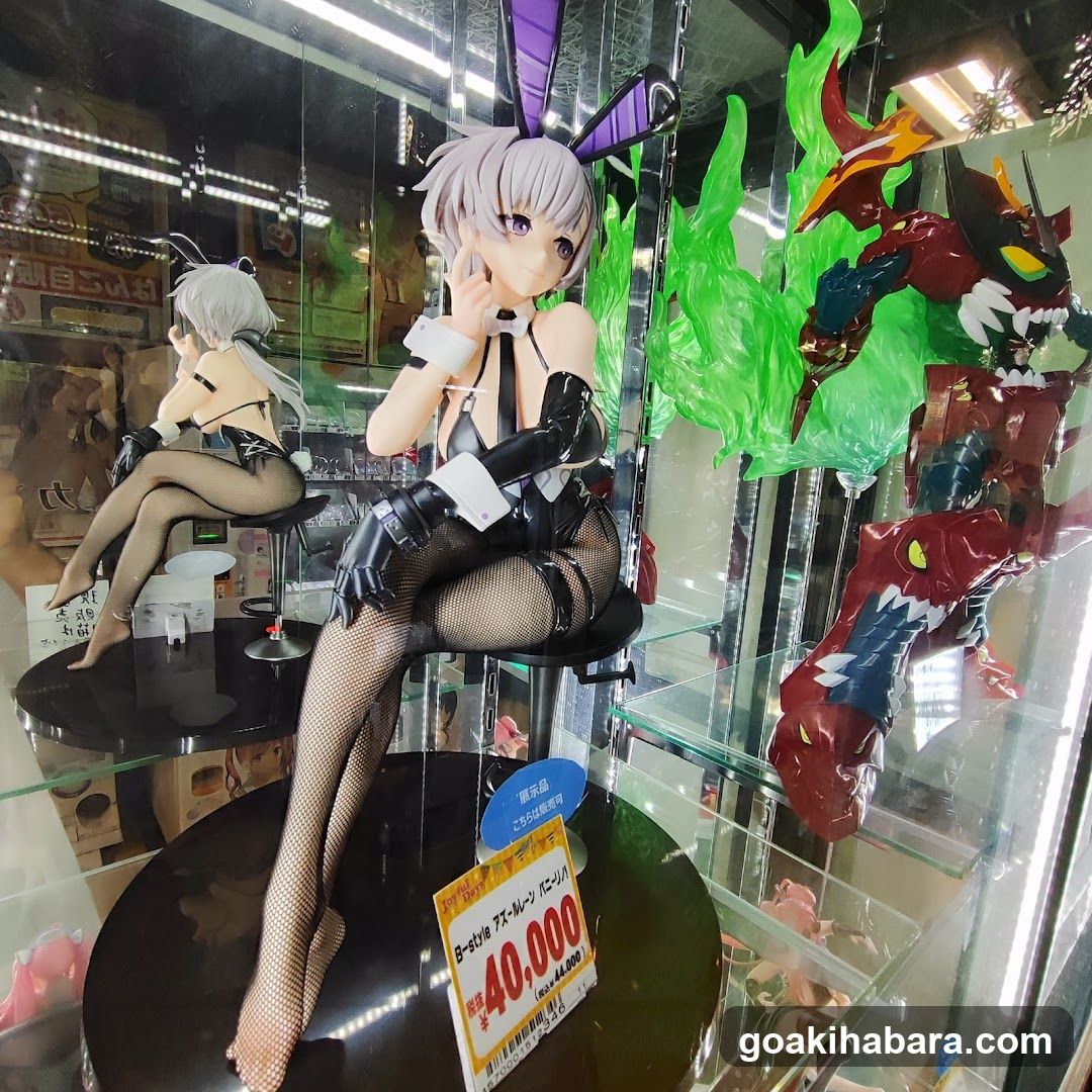 Anime Figure Display